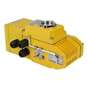 Электропривод DN.ru D300-00767