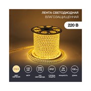 Светодиодная лента Neon-Night 142-704