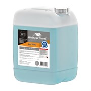 Реагент для очистки систем отопления Wellness therm ZET SHINE