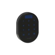 Кодовая панель Armadillo CD.B RT01.02 BL