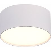 Накладной светильник St Luce ST606.532.12