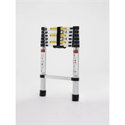 Телескопическая лестница WORKY ARD259943