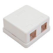 Корпус настенной розетки под 2 модуля Keystone NETLAN EC-UWO-2KJ-WT-10