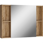 Шкаф-зеркало Домино Craft 100