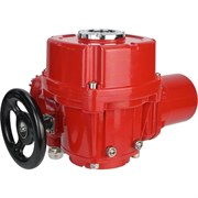 Электропривод DN.ru qt-w (m) ex-030