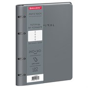 Тетрадь на кольцах БОЛЬШАЯ А4 240х310 120л, под кожу, BRAUBERG VISTA, Rhythm, 405202