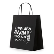 Пакет подарочный (1 штука) 26х13х32см (L) "Пришел ради вискаря!", крафт, ЗОЛОТАЯ СКАЗКА, 700842