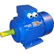 Электродвигатель ЭМШ AIS160L-2У1