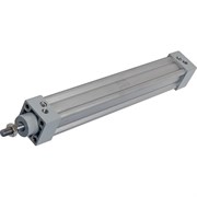 Пневмоцилиндр NBPT 81876