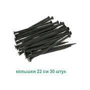 Садовый колышек для бордюрной ленты ГеоПластБорд k240.38.55.30up
