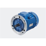 Электродвигатель МЭЗ АИР90L6