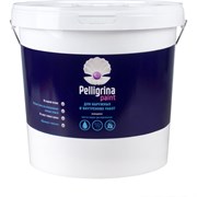 Акриловая краска для наружных и внутренних работ PELLIGRINA PAINT 231216