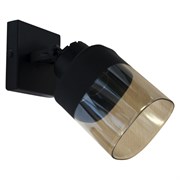 Потолочный светильник ЭЛЕТЕХ Марш 111