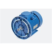 Электродвигатель МЭЗ АИР132М6