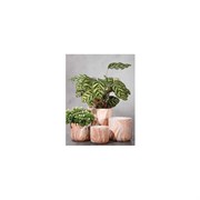 Кашпо SCHEURICH Kübel LINO