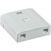 Настенная розетка IEK ITK