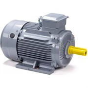 Общепромышленный электродвигатель ESQ PR 160 S4 GST-Б1-S12-IE2