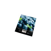 Электронные кухонные весы Centek CT-2462 Голубика