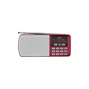 Цифровой радиоприемник Perfeo ЕГЕРЬ