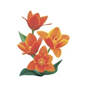 Тканевая шторка для ванны Melodia della vita Оранжевое настроение