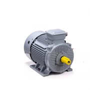 Общепромышленный электродвигатель ESQ PR 200 M4 GST-Б1-S12-IE2