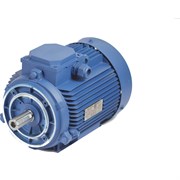 Электродвигатель МЭЗ У2-220/380-50IM3641-Р.К.В. К31Е-ААА IE1 (Могилев)