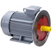 Общепромышленный электродвигатель ESQ PR 160 M2 GST-Б1-S12-IE2