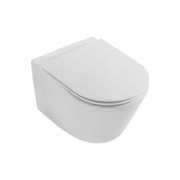 Подвесной унитаз Jacob Delafon Rodin+