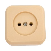 Розетка ООО Ливны-Электро РА 10-007