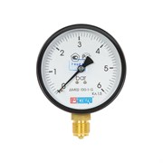 Манометр Метер ДМ 02-100-1-G