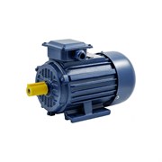 Электродвигатель ТМ БЭЗ АИР 100L2 IM1081
