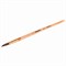Кисть ПИФАГОР, БЕЛКА, круглая, № 5, деревянная лакированная ручка, с колпачком, 200819 - фото 11046653