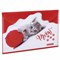 Папка-конверт с кнопкой BRAUBERG "FUNNY CAT", А4, 160 мкм, цветная печать, 228038 - фото 11061255