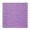 Салфетка из МИКРОФИБРЫ универсальная 30х30 см, фиолетовая, 220 г/м2, ЛЮБАША ПЛЮС, 606305 - фото 11129593