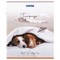 Тетрадь А5 48 л. BRAUBERG скоба, клетка, обложка картон, "Best Friends" (микс в спайке), 404360 - фото 11343740