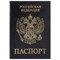 Обложка для паспорта STAFF "Profit", экокожа, "ПАСПОРТ", черная, 237191 - фото 11362742