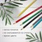 Карандаши цветные мягкие BRAUBERG АКАДЕМИЯ, 6 цветов, шестигранные, грифель 3 мм, натуральное дерево, 181863 - фото 11766527