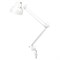 Настольная лампа светильник Бета на струбцине, цоколь Е27, белый - фото 12469455