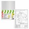 Папки-файлы перфорированные, А4, STAFF "ЭКОНОМ", КОМПЛЕКТ 100 шт., гладкие, 30 мкм, 271825 - фото 13113709