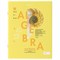 Тетради предметные со справочным материалом, КОМПЛЕКТ 12 ПРЕДМЕТОВ, 48 л., обложка картон, BRAUBERG, "VISION", 404323 - фото 13119136