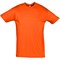 Футболка Regent 150, оранжевый - фото 13136642
