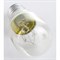Лампа накаливания Uniel 10804 - фото 13201543