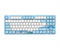 Клавиатура механическая проводная Dareu A87L Swallow (голубой, серия "ласточка"), 87 клавиш, switch Aqua (linear), подключение USB - TypeC, раскладка ENG/RUS - фото 13365056