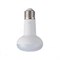 Светодиодная лампа Фарлайт FAR000133 - фото 13547513
