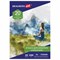 Папка для акварели БОЛЬШАЯ А2, 20 л., "ГАРМОНИЯ", зерно, 200 г/м2, ГОЗНАК, BRAUBERG ART CLASSIC, 113211 - фото 13641769