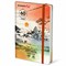 Скетчбук для маркеров 120 г/м2, 148х210 мм, 60 л., твердая обложка, резинка, BRAUBERG ART PREMIERE, МИКС, 115103  - фото 13641994