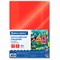 Картон цветной А4 МЕЛОВАННЫЙ, 5 листов, 5 цветов, BRAUBERG, 200х290 мм, 116628 - фото 13764197