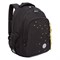 Рюкзак GRIZZLY школьный, анатомическая спинка, 3 отделения, для девочек, "GOLDEN&BLACK", 40х27х20 см, RG-561-2/1 - фото 14959450