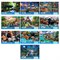 Пазл картонный 500 элементов АССОРТИ, 470х330мм, РК - фото 15177104
