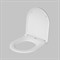 Сиденье для унитаза AM.PM микролифт - фото 15670811